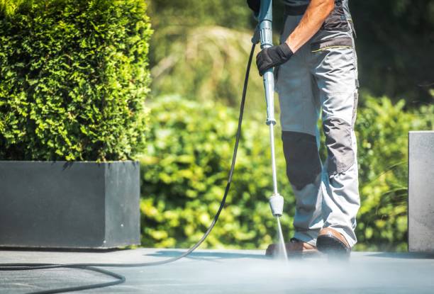 Best Roof Washing  in Menomonie, WI